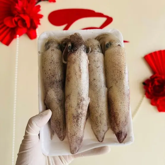 Mực Trứng Tươi Sống - Hải Sản Vân Đồn Quảng Ninh