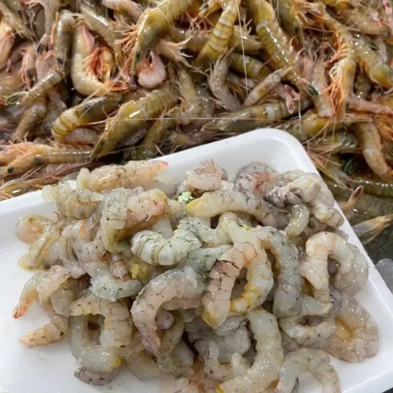 Nõn Tôm Sắt - Hải Sản Tươi Sống Vân Đồn Quảng Ninh