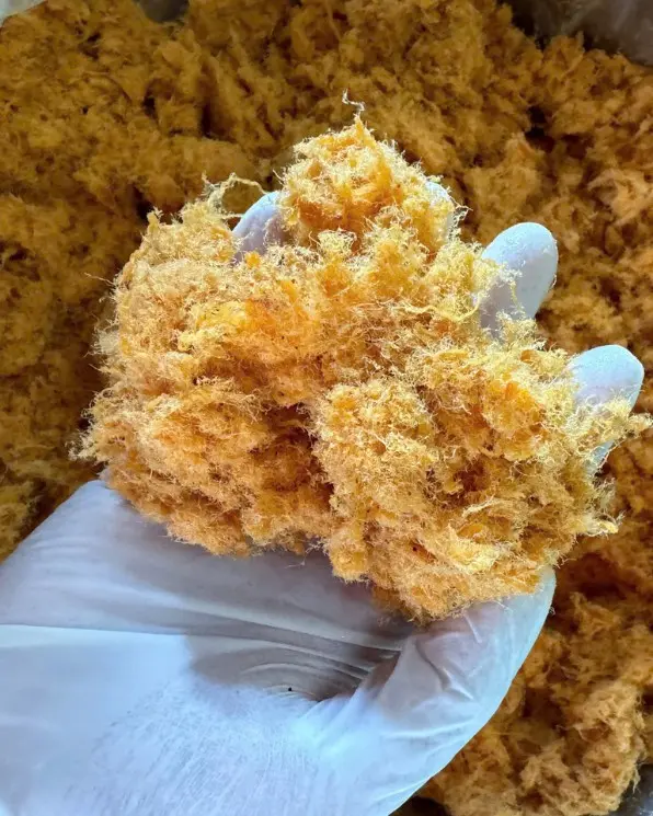 Ruốc Tôm Vân Đồn - Đặc sản Quảng Ninh