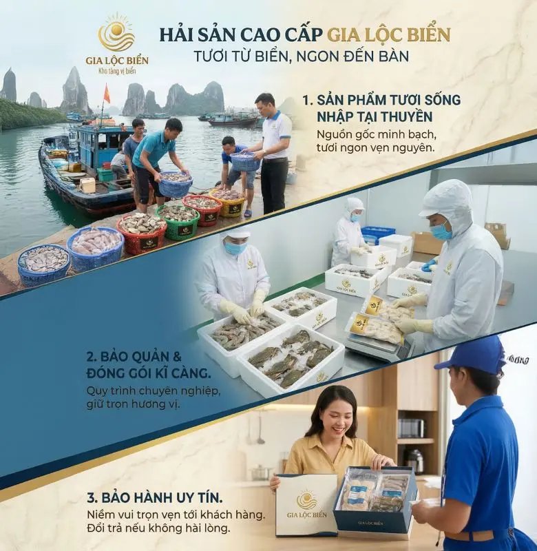 ảnh giới thiệu thương hiệu Gia Lộc Biển